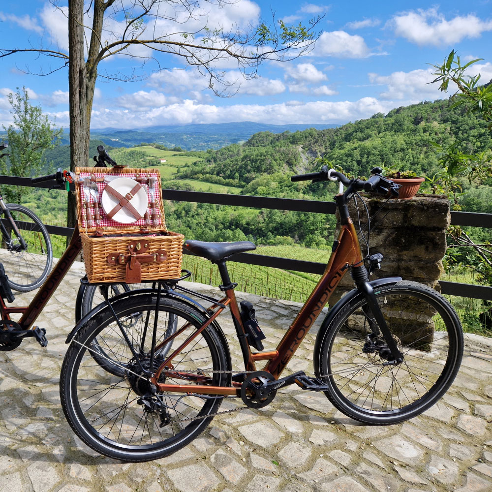 E-bike e picnic nelle Langhe